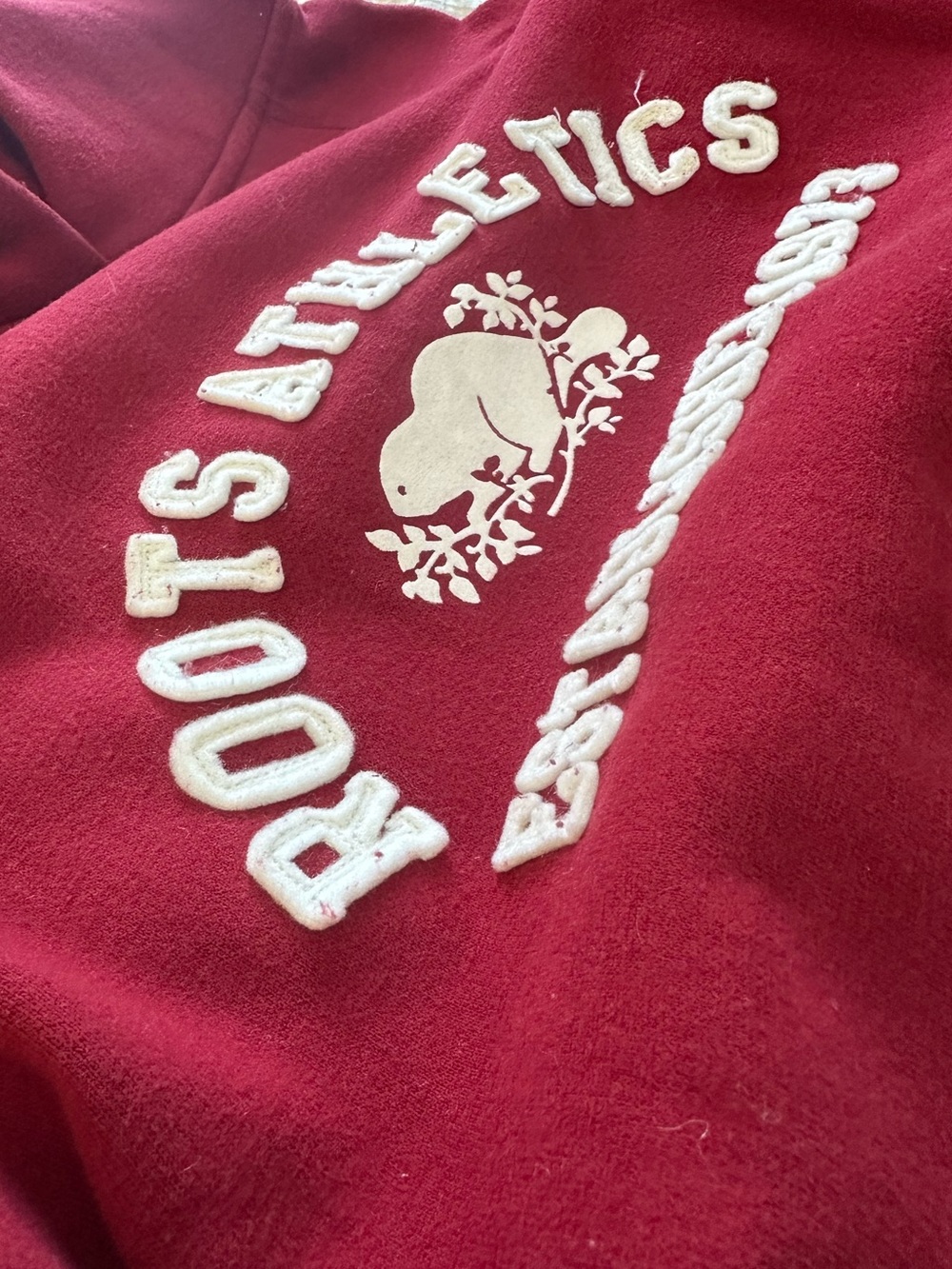 Red Roots Hoodie - Picture 3 of 5